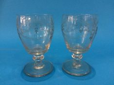 Two 19th Century etched glasses