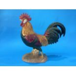 A Beswick Leghorn, number 1892