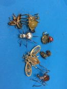 10 assorted Insect brooches