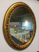 A gilt oval mirror, 74cm height