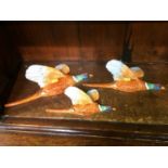 Three Beswick wall pheasants 661/1,2,3