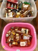 Two boxes of gin and whiskey miniatures