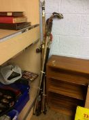 Large quantity of walking canes