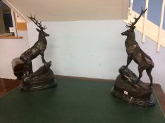 A pair of large stags