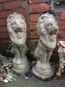 A pair of concrete garden lions