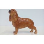 John Beswick Figure of a Spaniel 30cm