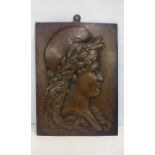 Classical bronze plaque