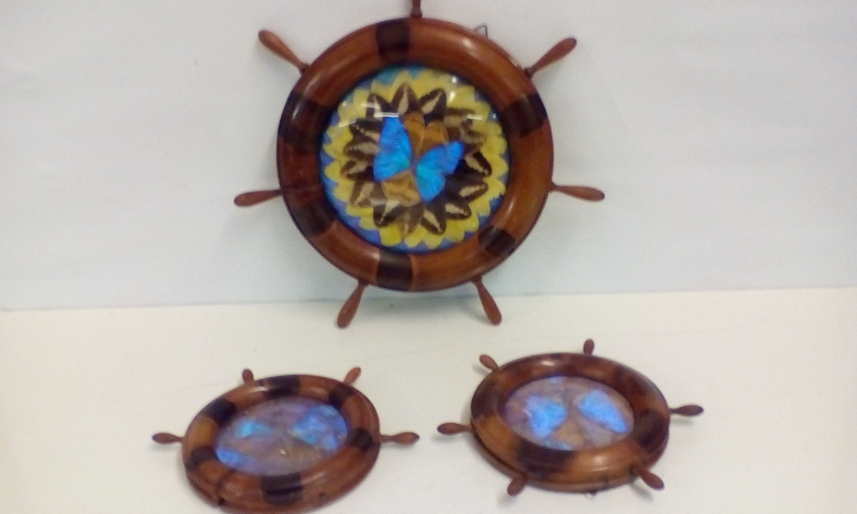 Three ships wheels inset with iridescent butterfly