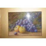 Water colour still life of fruit signed Fred Spenc