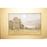 Lake District scene with cattle grazing close to a