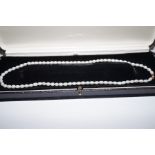 Pearl necklace with 9 carat gold clasp