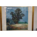 Watercolour by David V. Thomas title Elm at Newbou