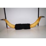 Set of Bull horns (Width: 136cm)