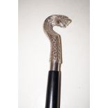 Walking stick with wooden cobra handle