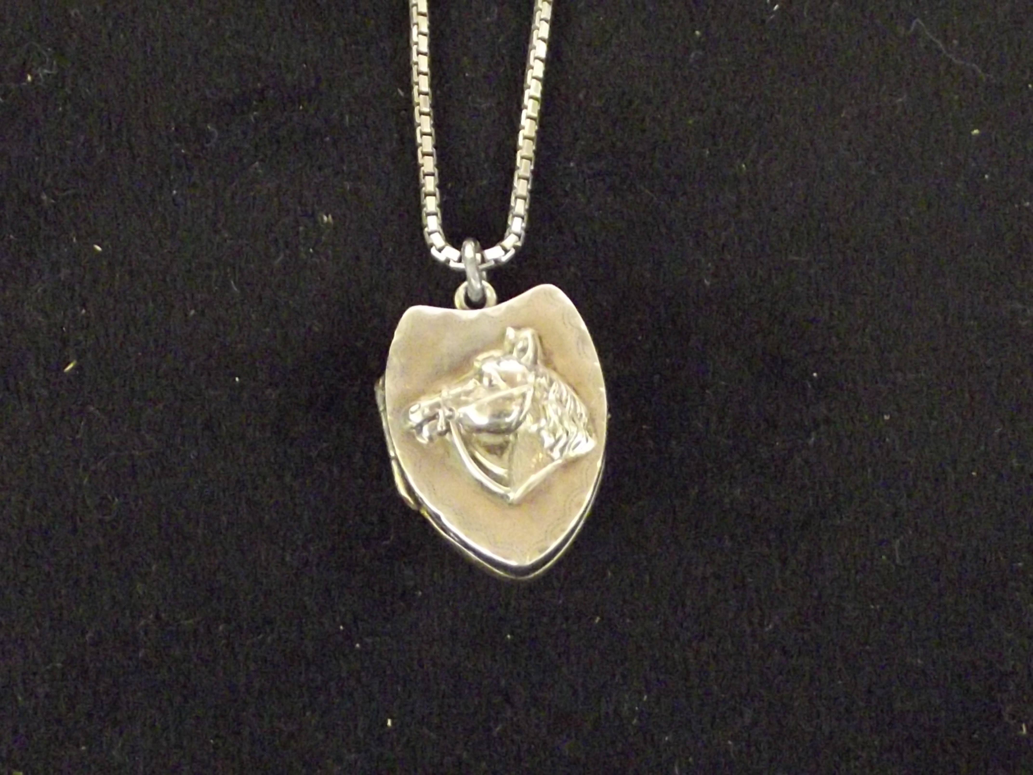 Silver chain and horse locket pendant