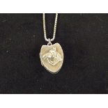 Silver chain and horse locket pendant