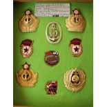 A collection of 9 Russian cap badges