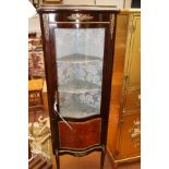 Early 20th century display unit with bowed glass