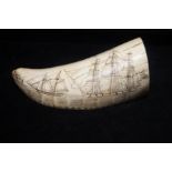 Early 20th century scrimshaw whales tooth, the too