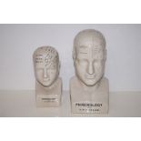 2 Phrenology Busts. Tallest 27cm