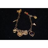 9 carat gold charm bracelet with 9 charmstotal w