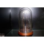 Glass dome and plinth 30cm