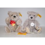 Two Stieff Teddy bears, each with gold stud, heigh