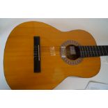 Oncor acoustic guitar