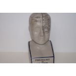 Large Phrenology Head. Height 30cm