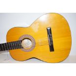 Encore acoustic guitar