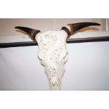 Decorative cow skull Height 50cm