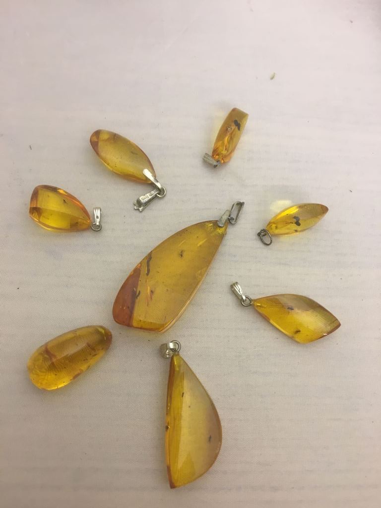 Amber and insect pendants