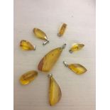 Amber and insect pendants