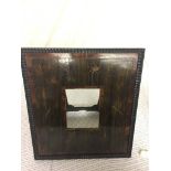 A spider web and insect marquetry frame,