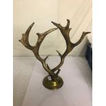 A pair of antlers on brass mount