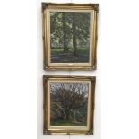 William Henry Innes (1905-1999): A pair of oils on board depicting woodland scenes,