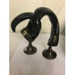 A pair of ram horns on brass stand