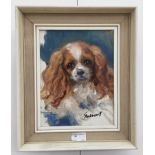 John Strevens (1902-1990): Study of a King Charles spaniel, oil on board, signed,