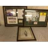 Three cricket montage/framed prints: Lara,