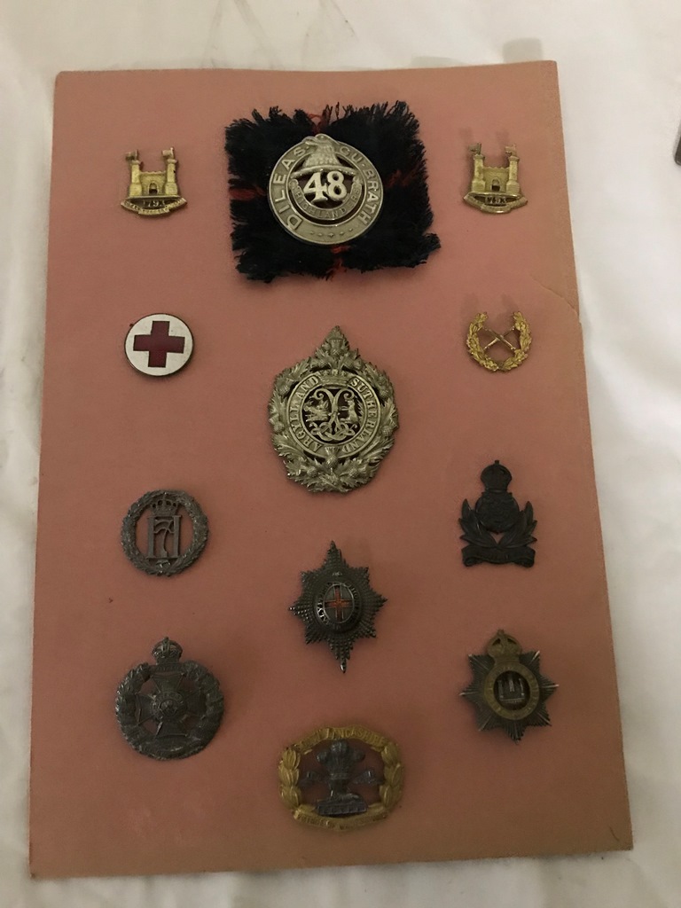 A board of 12 cap badges to inc maker marked officers: Coldstream Guards