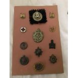 A board of 12 cap badges to inc maker marked officers: Coldstream Guards
