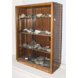 A display case with a collection of fossils