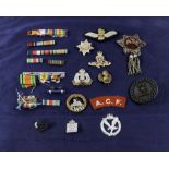 Various cap badges, medal ribbons etc.