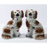 A pair of Wally dogs