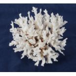 A decorative piece of Moroccan white crystal fossil