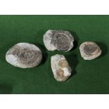 Four British ammonites from Whitby region