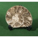 A large polished split ammonite and stand