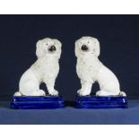 Two Victorian Staffordshire poodles