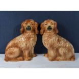 A pair of wally dogs,