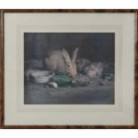 A framed print depicting a mother rabbit and her young